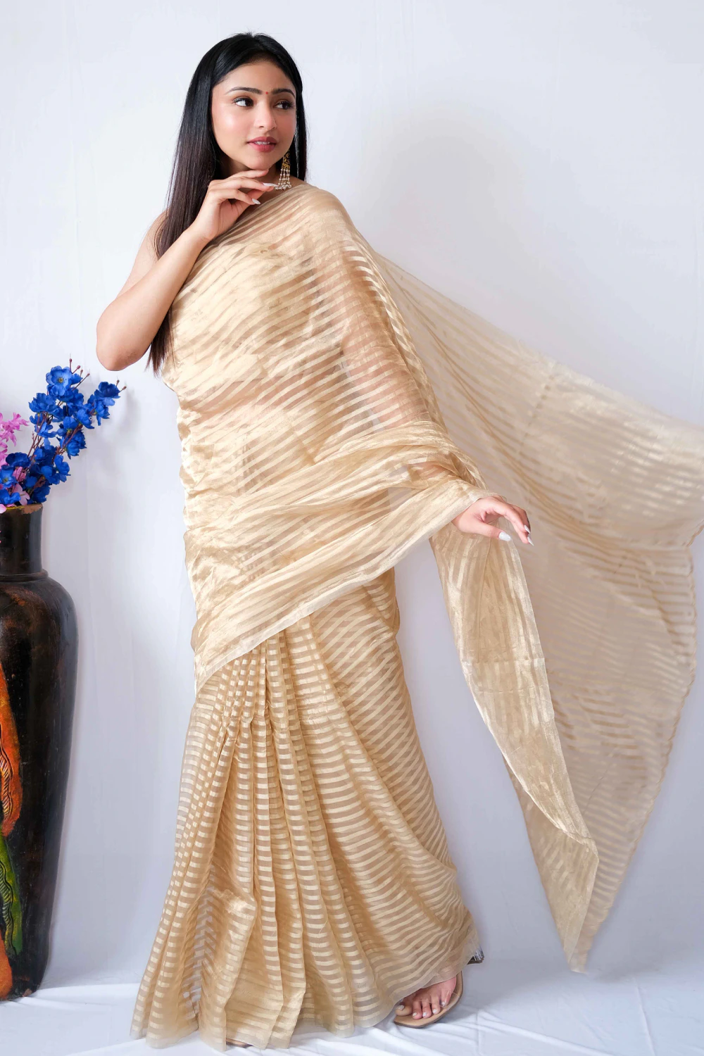Gold stripe tissue handwork saree
